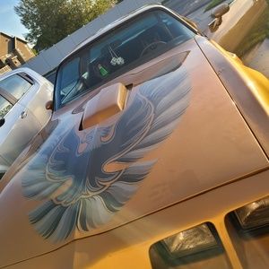 Meet your Posher, Raymond